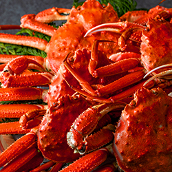 紅ずわい蟹