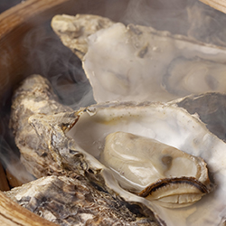 牡蠣