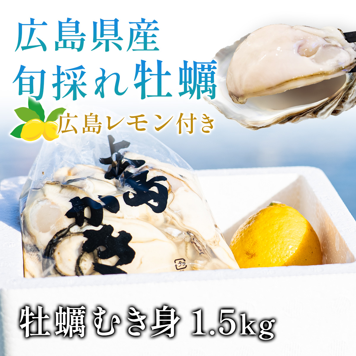 広島県産牡蠣むき身1.5kg広島レモン付き