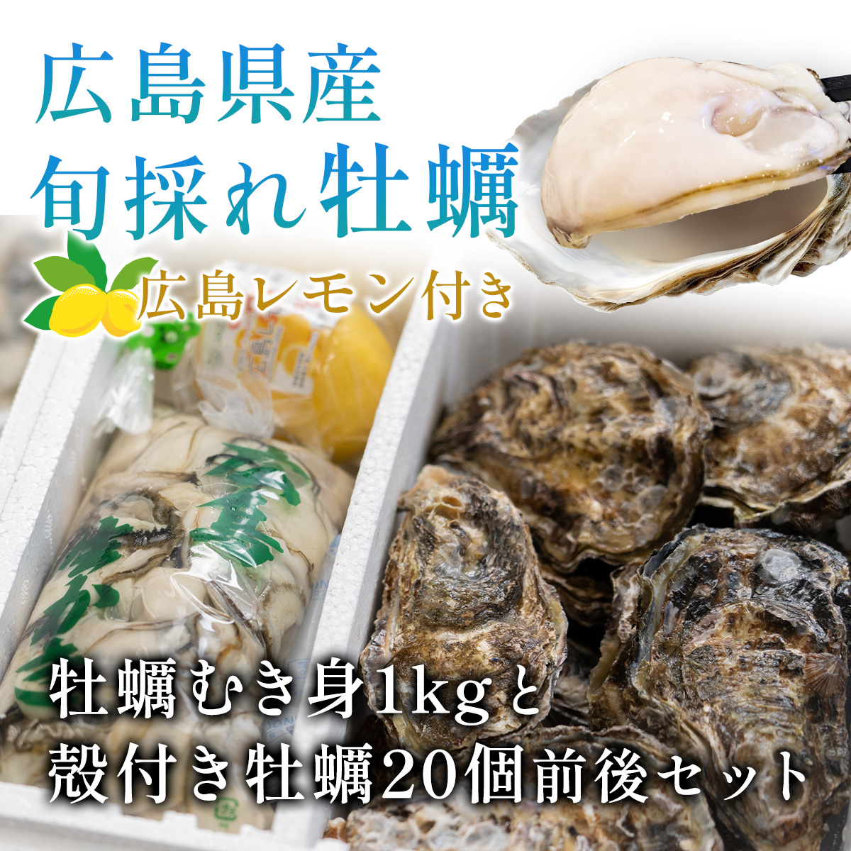 広島県産牡蠣むき身1kgと殻付き牡蠣20個前後セット広島レモン付き