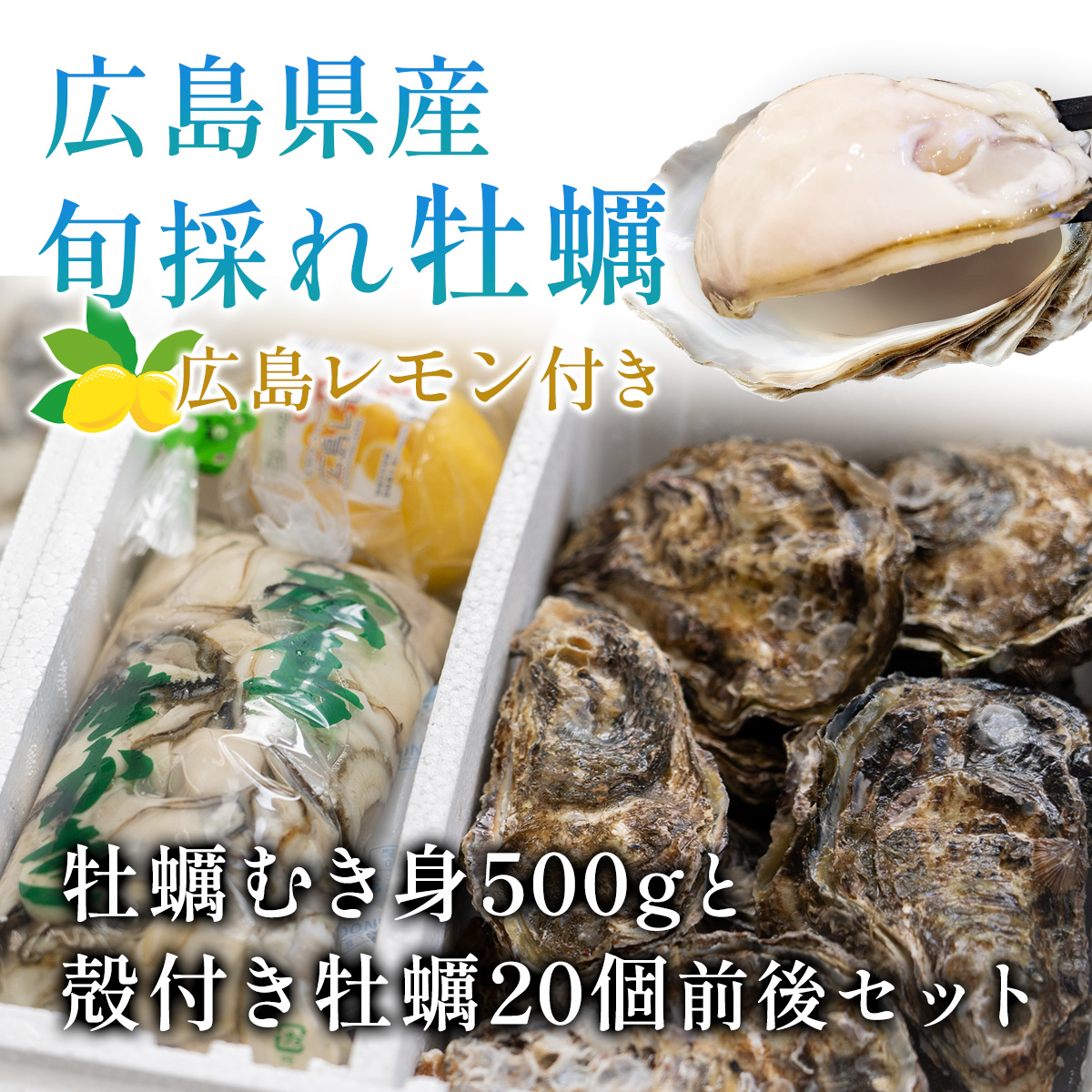 広島県産牡蠣むき身500gと殻付き牡蠣20個前後セット広島レモン付き