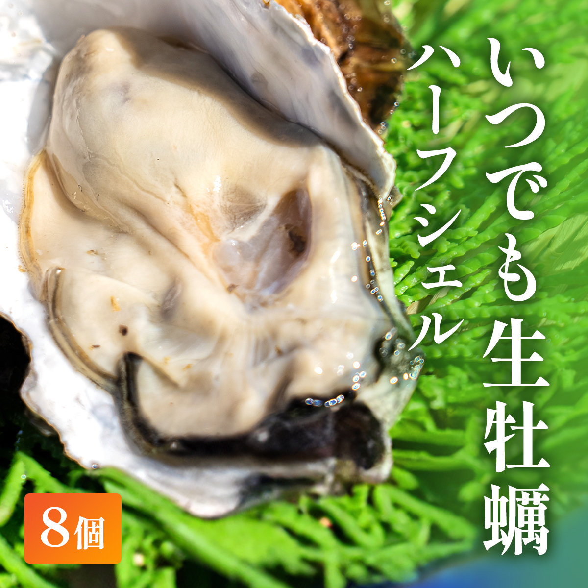 いつでもカキ！殻付き 8個入り