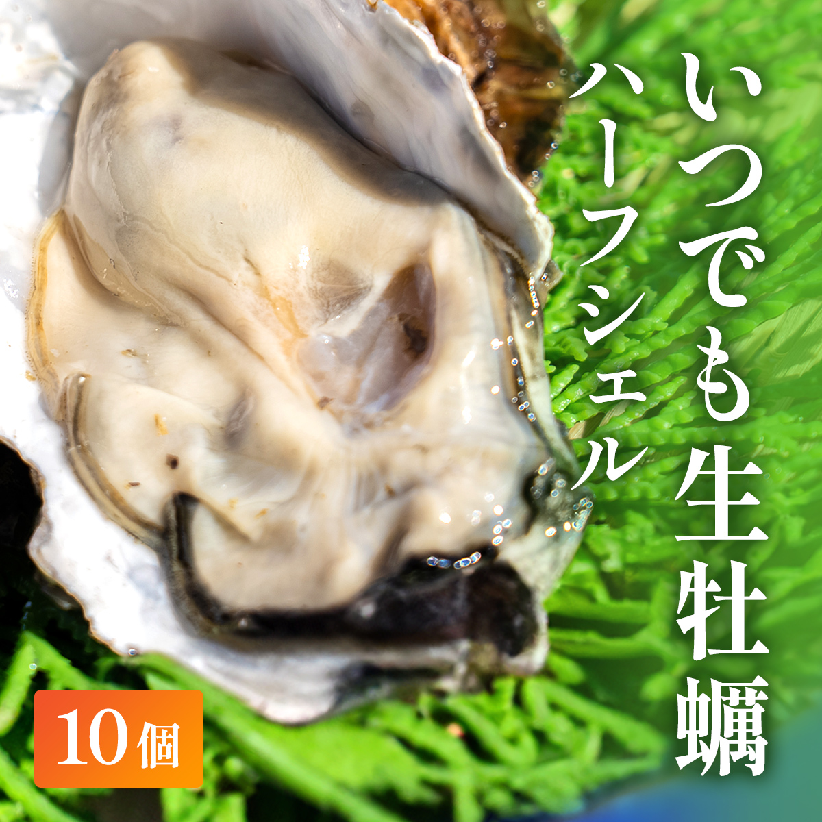 いつでもカキ！殻付き 10個入り