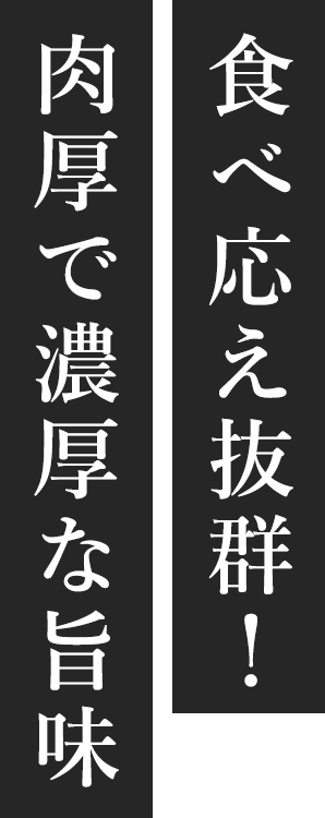食べ応え抜群！肉厚で濃厚な旨味