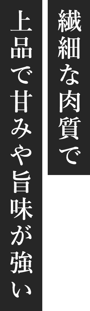 繊細な肉質で上品で甘みや旨味が強い
